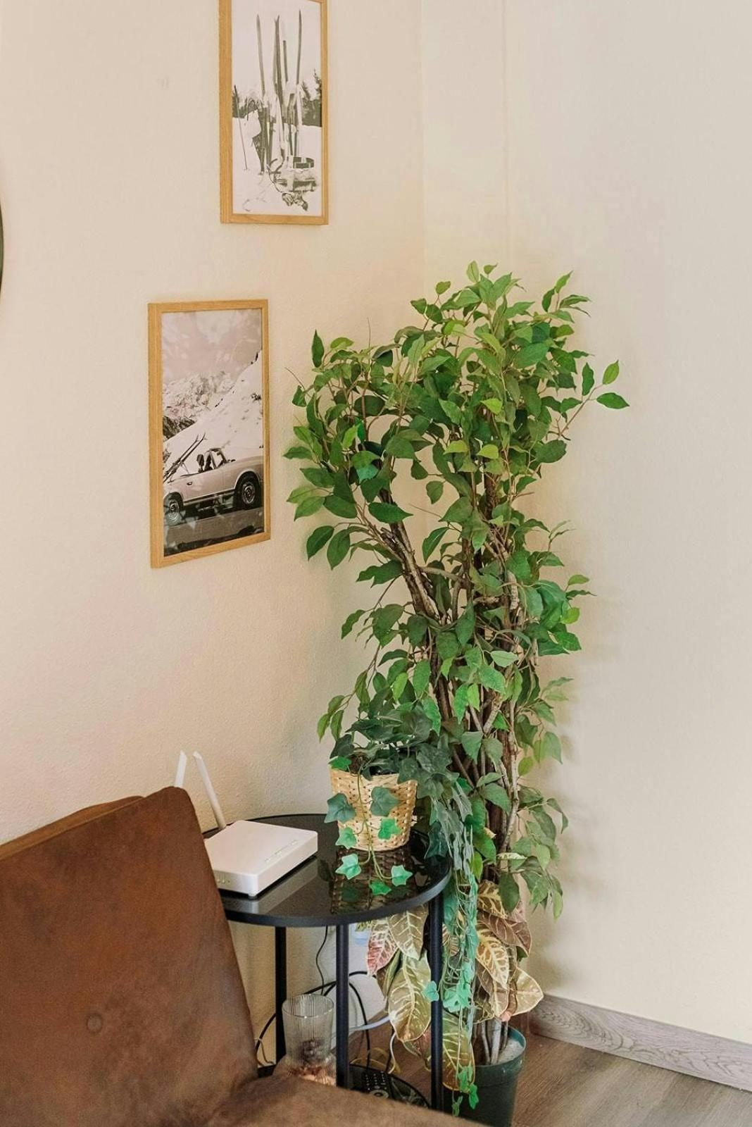 La Casita Del Arbol Apartamento Sallent de Gállego Exterior foto
