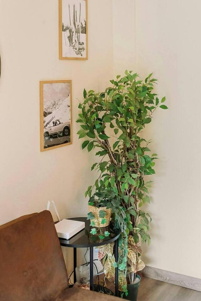 La Casita Del Arbol Apartamento Sallent de Gállego Exterior foto